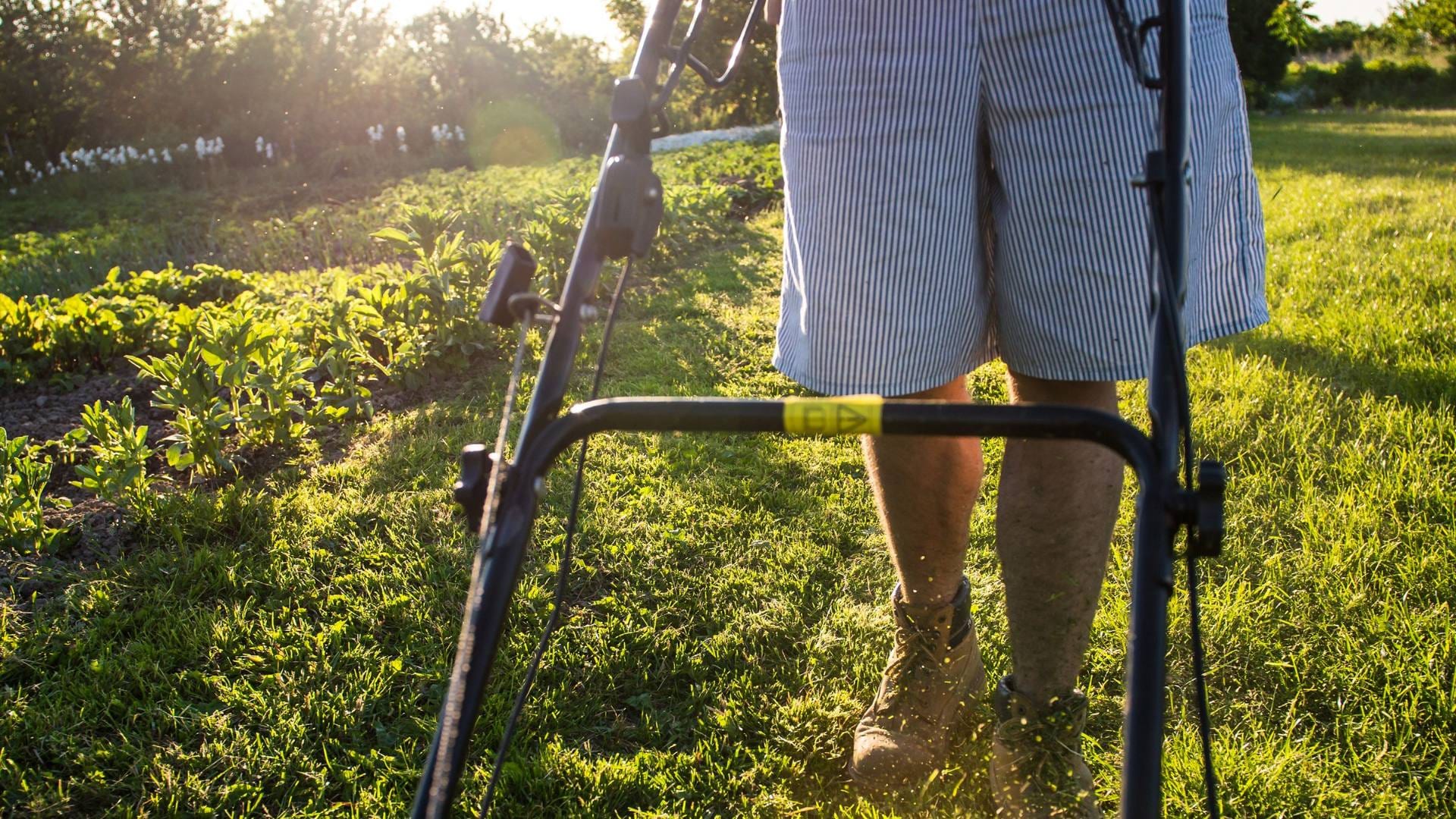 Lawn Mowing & Maintenance